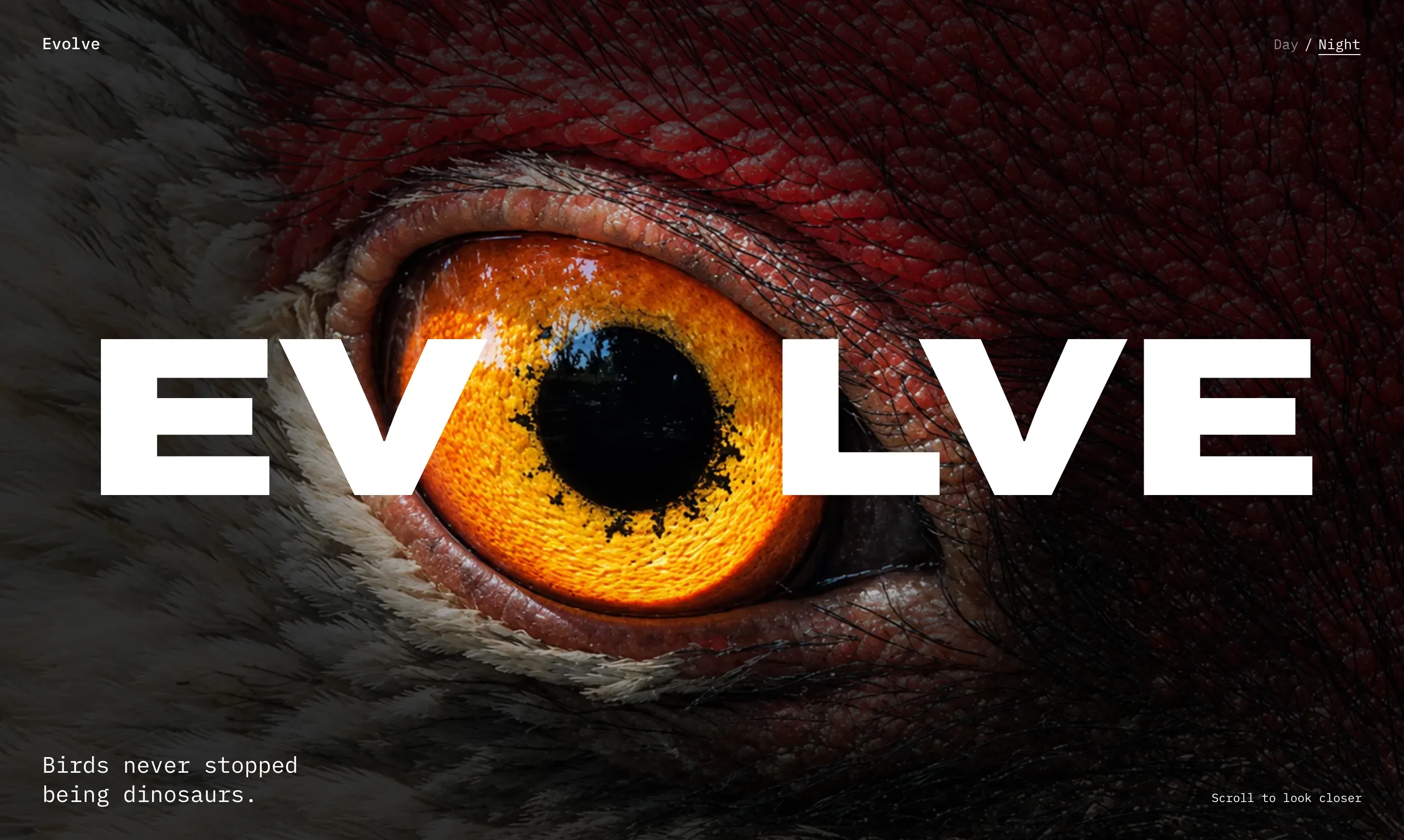 Evolve